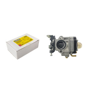 CV-CGTB-CA