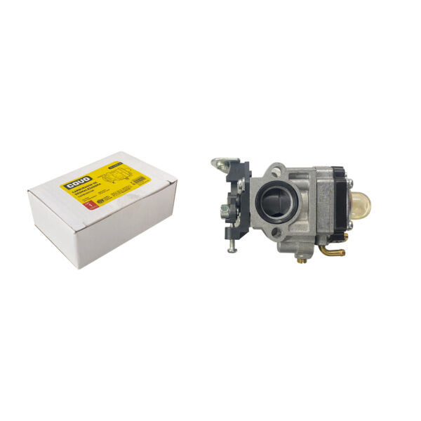 CV-CGTB-CA