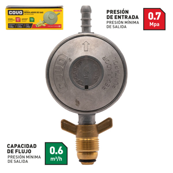 CV-GAR-PP